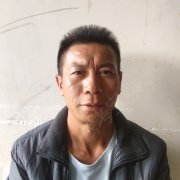 杨海强