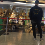 刘凯
