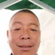 骆金林