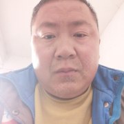 王网网