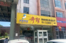 奇圣驾校