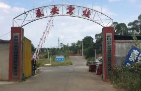 泰安驾校