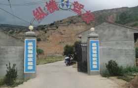 纵横驾校