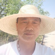 刘鹏飞