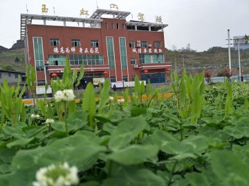 玉虹驾校