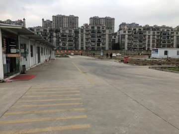 震泰驾校