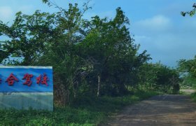 海合驾校