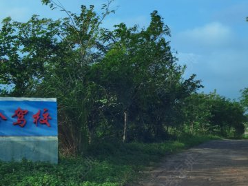 海合驾校