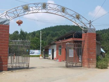 郴荣驾校