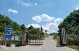 鼎鑫驾校