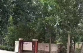 新华驾校
