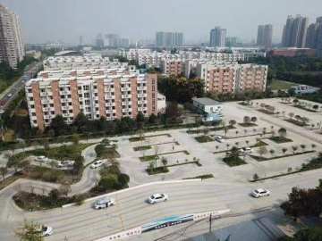 成师驾校