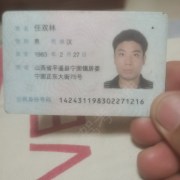 任双林