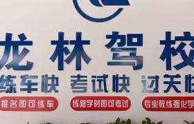 龙林驾校
