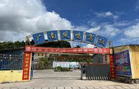 凤鸣驾校
