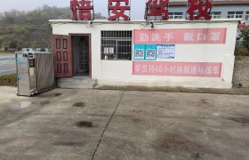 悟安驾校