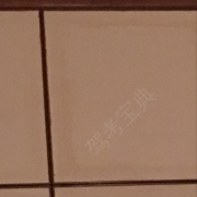 陈卓君