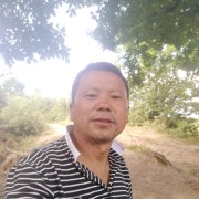 王云平