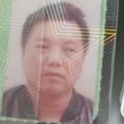 高红平