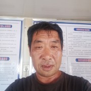 张志武