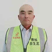 白生龍