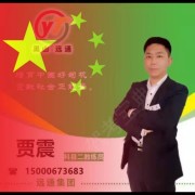 贾震