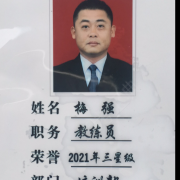 梅强