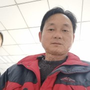 王金元