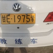 杨飞