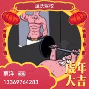 蔡洋