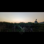东众刘教练
