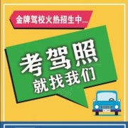 苏教练