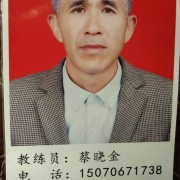 蔡晓金