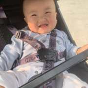 韦琪
