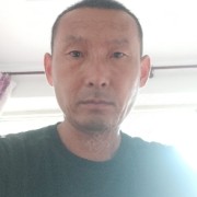 高文拨