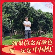 王文