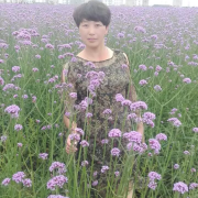 施巧玲