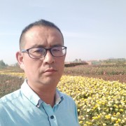 周中阳