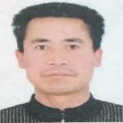 把多伟