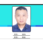 顾伟