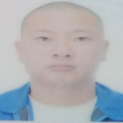 陶伏星