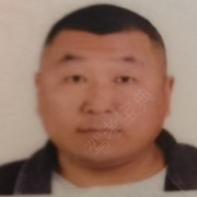 高真伟