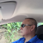 刘卫平