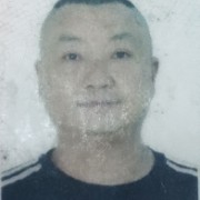 郑万树