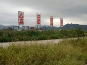 金盾驾校
