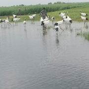 于泽东