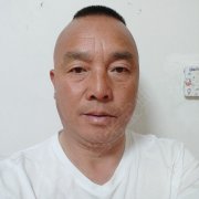 何树辉