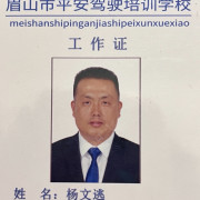 杨文逃