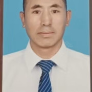 罗桃树明