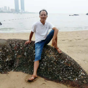 叶春谱